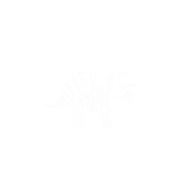 hoodiesaurus.com